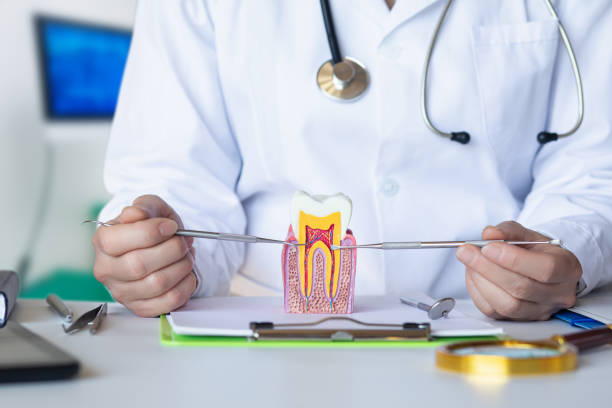 Best Emergency Dentist for Lost Fillings or Crowns in Sundance, WY